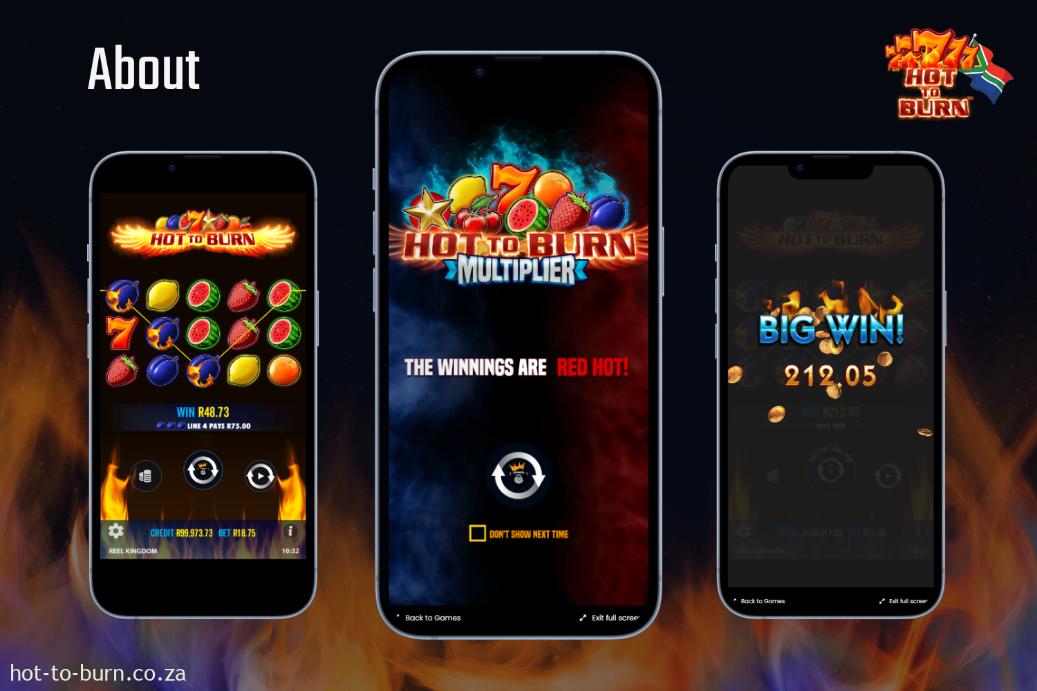 Overview of the Hot to Burn Online Slot